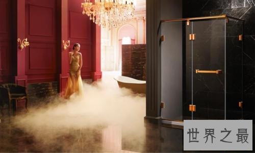 淋浴房十大知名品牌,淋浴房哪个牌子好?