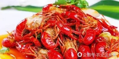 ​虾用什么呼吸的（在农业养殖中，你知道对虾的呼吸器官是什么吗？）