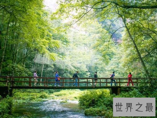张家界十大勾魂摄魄绝景，看看哪里把你的魂给勾走
