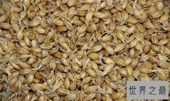 保护眼睛的十大食物，十种对眼睛好的食物大盘点！