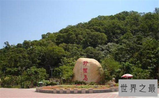 珠海旅游必去的十大景点,珠海旅游让你的冬天不寂寞!