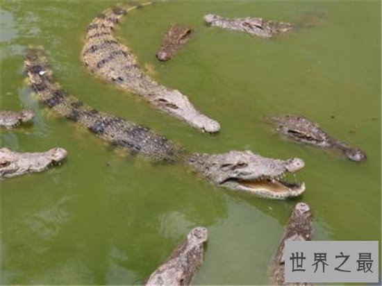 珠海旅游必去的十大景点,珠海旅游让你的冬天不寂寞!