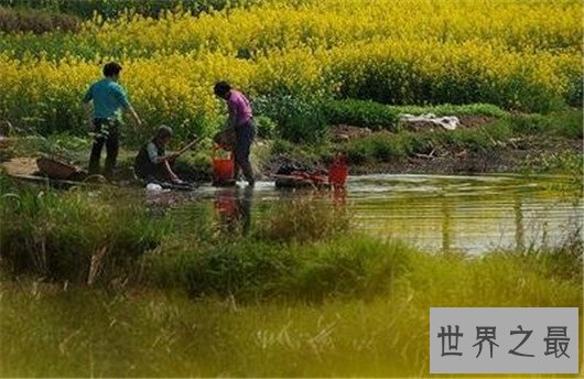 世界最神奇的10个海滩,黑色的沙滩你敢去么