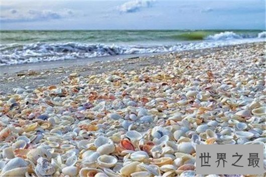 世界最神奇的10个海滩,黑色的沙滩你敢去么