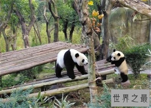 中国十大地标性建筑,别国无法模仿的特有建筑