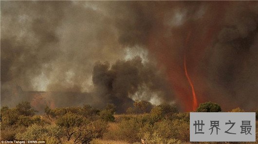 世界五大火焰龙卷风,让森林瞬间化为灰烬