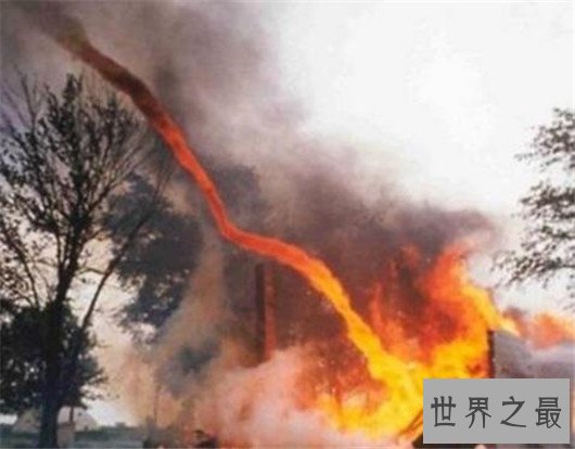 世界五大火焰龙卷风,让森林瞬间化为灰烬