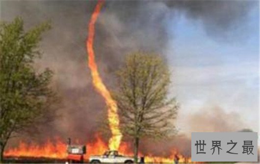 世界五大火焰龙卷风,让森林瞬间化为灰烬