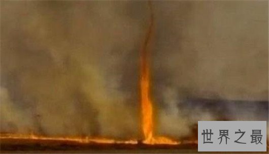 世界五大火焰龙卷风,让森林瞬间化为灰烬