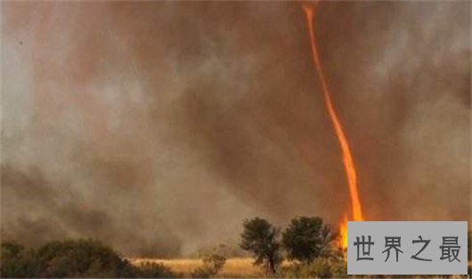 世界五大火焰龙卷风,让森林瞬间化为灰烬