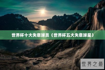 ​世界杯十大失意球员（世界杯五大失意球星）
