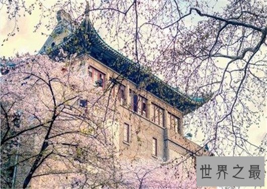 985大学名单及分数线,你更中意哪一个