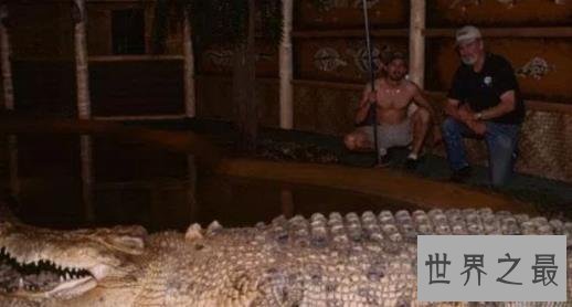 世界上最大的鳄鱼Top10，第一大鳄鱼Kalia两千斤重！