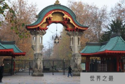​世界最大的动物园排名 第一名来自德国，北京动物园位列第四