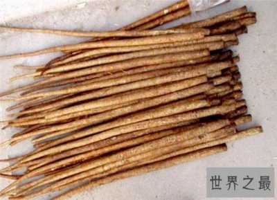 ​牛蒡怎么吃？要与热性食物一同制作