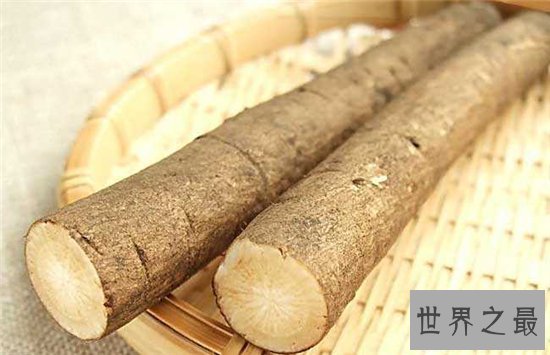 牛蒡怎么吃?要与热性食物一同制作