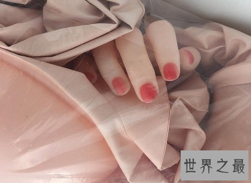 世界最贵性爱娃娃,定制化随心所欲男人的最爱!