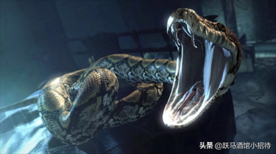 ​“蛇女”纳吉尼的起源故事，她是如何与伏地魔结识的