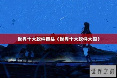 ​世界十大软件巨头（世界十大软件大国）