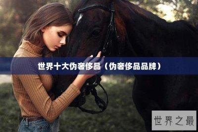 ​世界十大伪奢侈品（伪奢侈品品牌）
