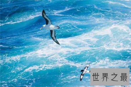 你知道我国最大的海是什么吗,怎么会不是南海呢?