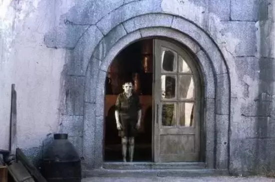 最恐怖的恐怖片有哪些（盘点最邪性的9部恐怖片）