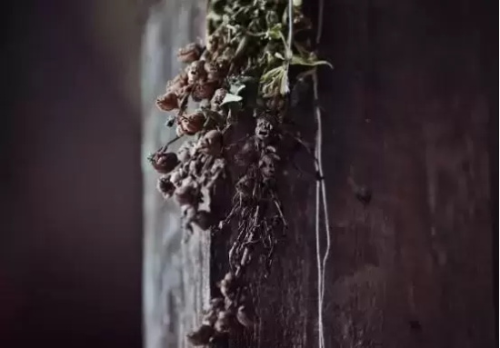 口碑高的恐怖片有哪些（十部风评不错的恐怖片推荐）