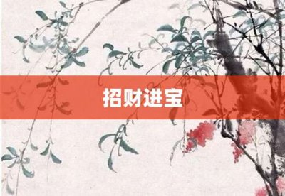 ​招财进宝