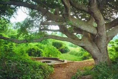 ​关于“横竖都是二”的故事