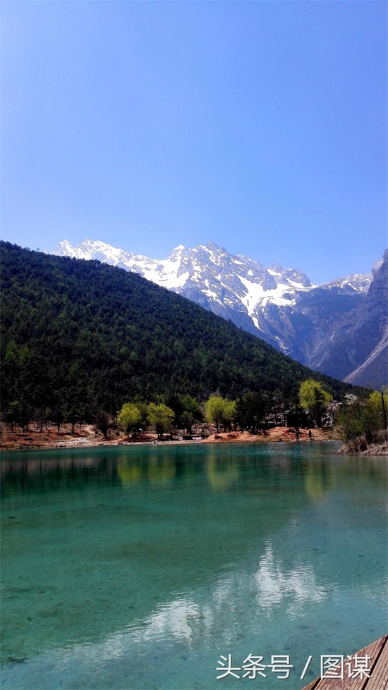 玉龙雪山上最大规模的一次殉情，12对青年男女因爱而死，这个故事是真的吗
