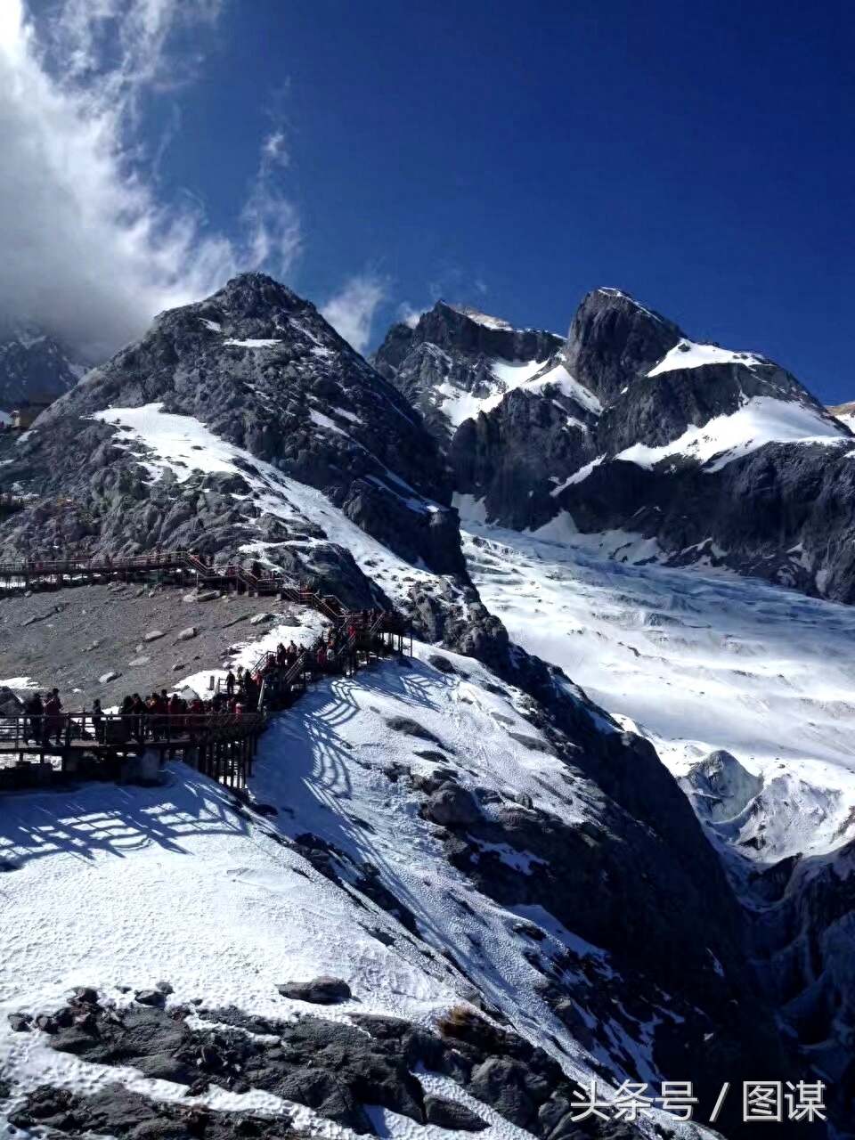 玉龙雪山上最大规模的一次殉情，12对青年男女因爱而死，这个故事是真的吗