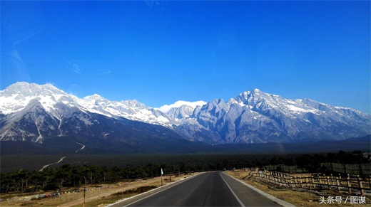 玉龙雪山上最大规模的一次殉情，12对青年男女因爱而死，这个故事是真的吗