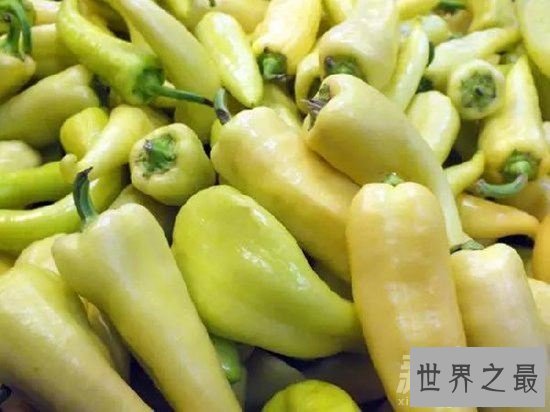 世界上最奇特的16种辣椒,水果味和辣死人的辣椒