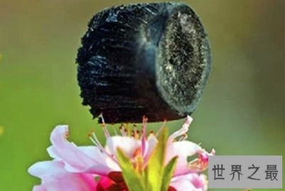 ​世界上最轻材料，每立方厘米的重量仅仅是0.16毫克