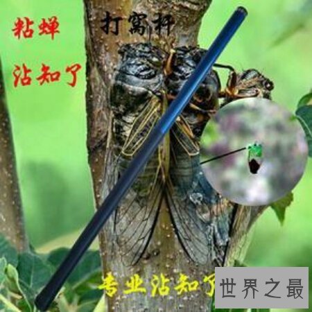 粘杆处是血滴子的另一个称呼 杀人不见血