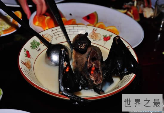 全球十大恶心食品，看到这些食物吐都来不及