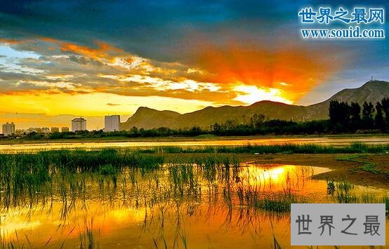 世界十大名曲，维也纳音乐会必演曲目（在线试听）