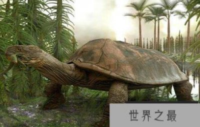 ​已灭绝的十大恐怖动物，所幸都已经成为化石