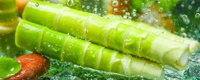 ​冬笋为什么一年又一年没有 冬笋为什么不晒笋干