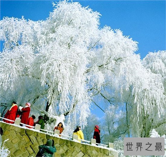 国人不可不知的中国四大自然奇观 千万别错过欣赏