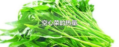 ​空心菜的热量和脂肪是多少 空心菜的热量是多少千焦