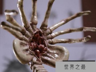 ​异形残忍血腥的抱脸虫，恶心寄生过程(重口味慎入)