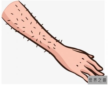 ​最强犯罪研究，你身上的任何毛发都能暴露出来