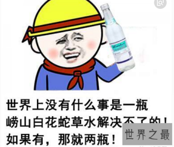 ​崂山白花蛇草水，总统特饮(超级难喝)