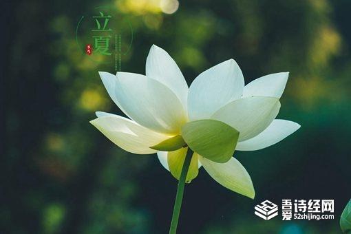 立夏节气的含义是什么