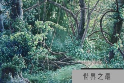 ​山海经中十大神树，第五种树可让人长生不老