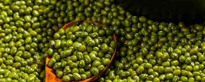 ​绿豆热量高还是米饭 绿豆热量比大米谁高