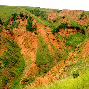 ​《自然》：约210万年以来古人类出现并生活在中国黄土高原