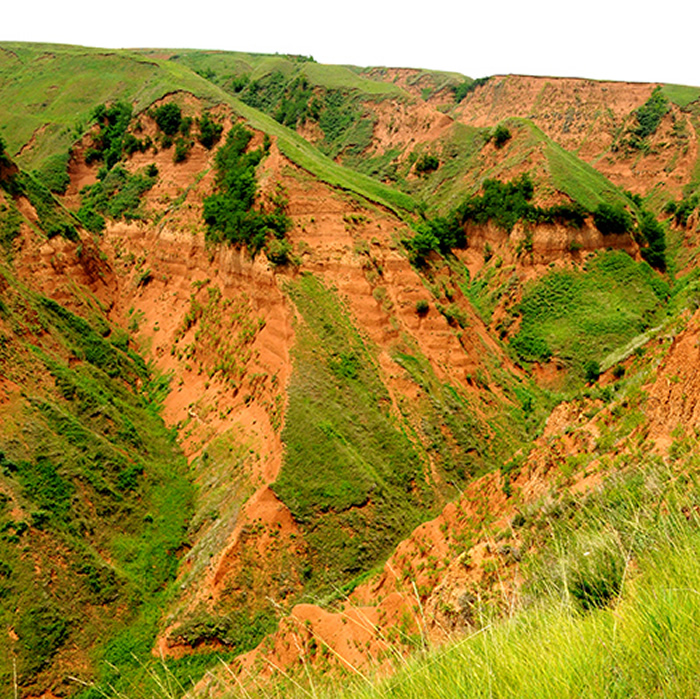 中国陕西省蓝田县上陈旧石器遗址黄土-古土壤剖面景观