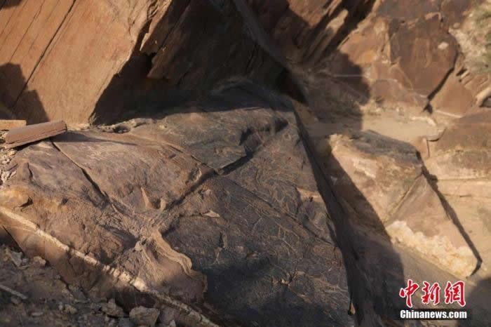 走进中国唯一的世界级“岩画主要地区”大麦地岩画的核心区 领略人类祖先的非凡智慧